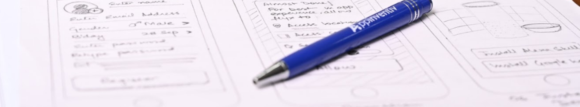 Budget Management Wireframe